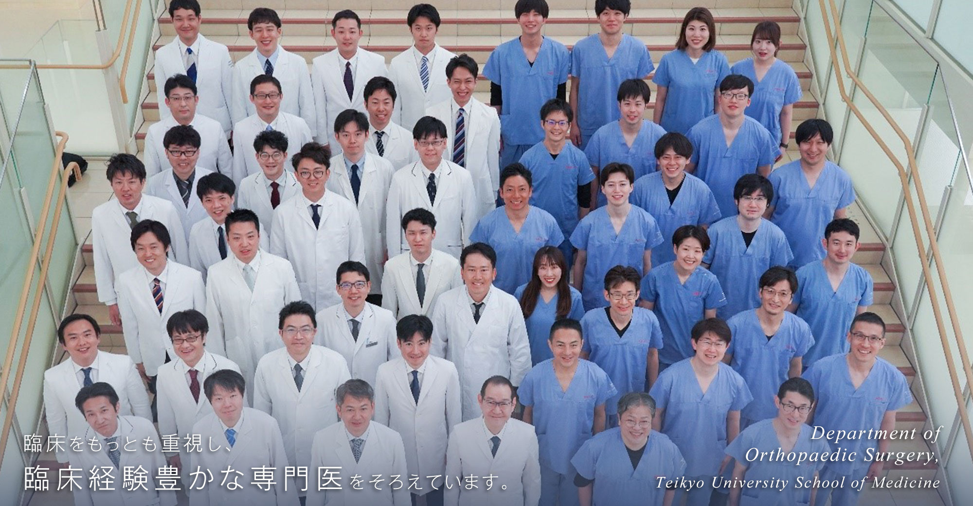 臨床をもっとも重視し、臨床経験豊かな専門医をそろえています。Department of Orthopaedic Surgery Teikyo University School of Medicine