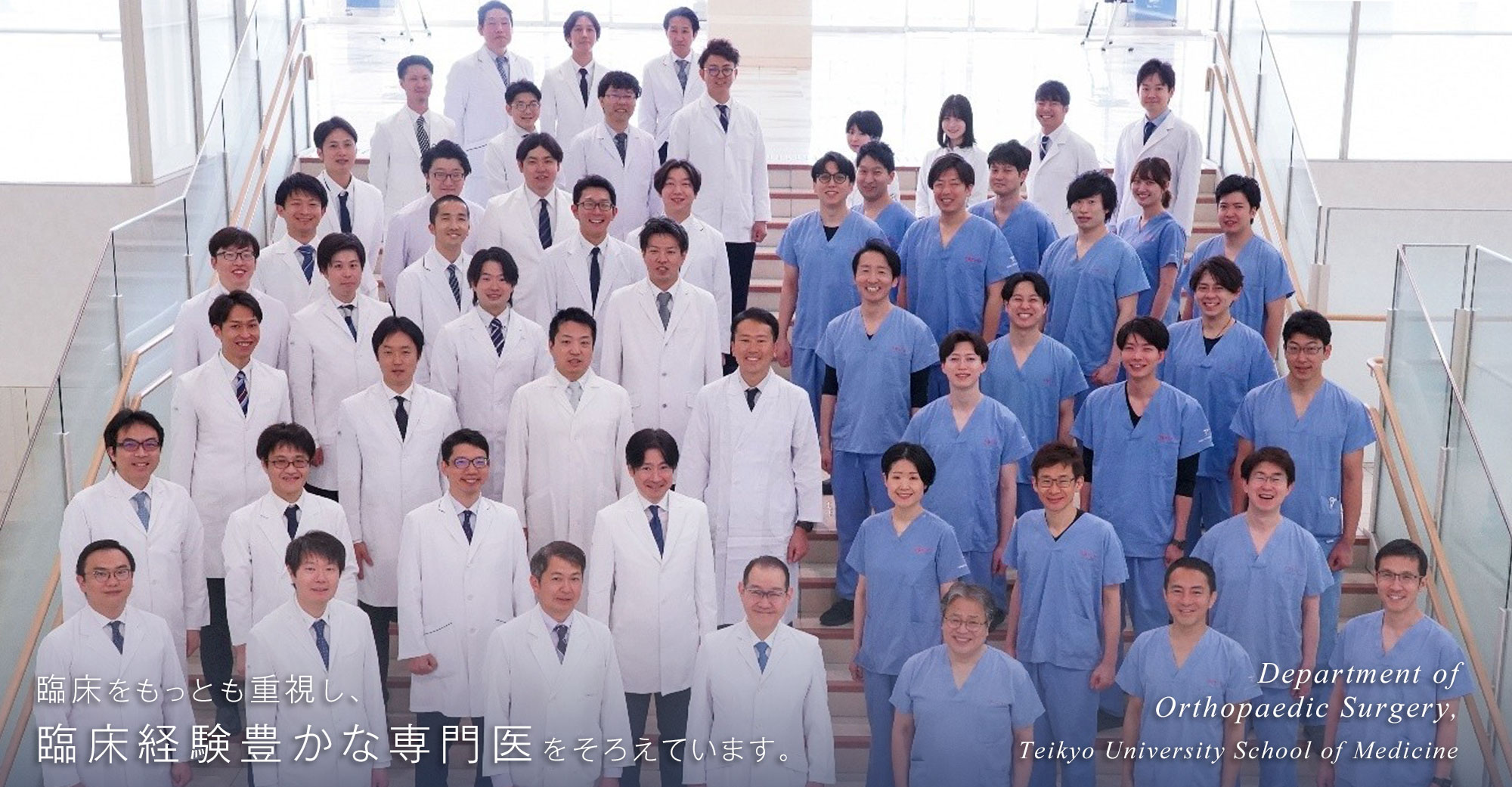 臨床をもっとも重視し、臨床経験豊かな専門医をそろえています。Department of Orthopaedic Surgery Teikyo University School of Medicine